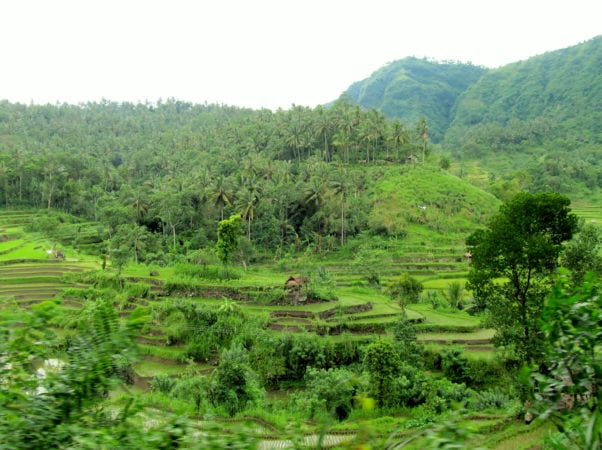 Unesco Bali