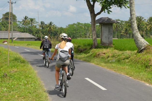 what to do in ubud - cycling