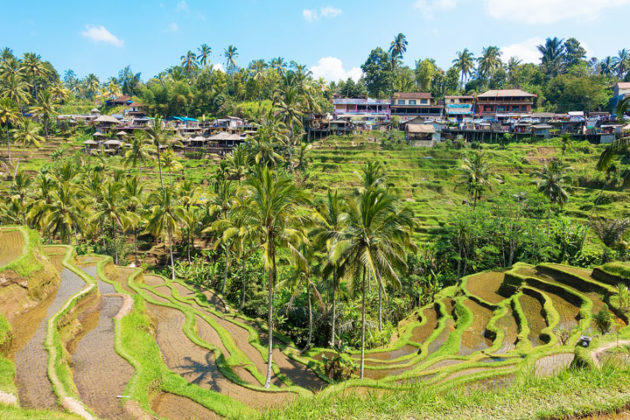 tegallalang hiking trail bali