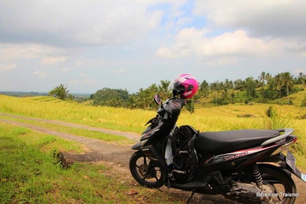how to rent a scooter in bali