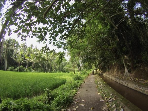 Ubud Cycling Tour