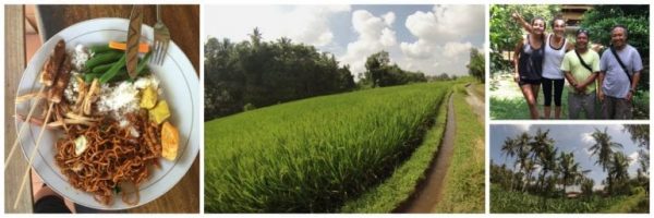 Ubud Cycling Tour