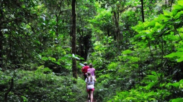 Bali Hiking Trails