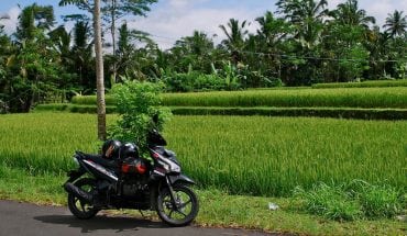 motorbike trip Bali