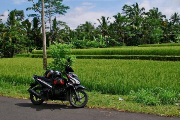 motorbike trip Bali