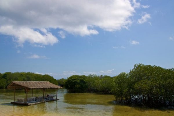 Nusa Lembongan