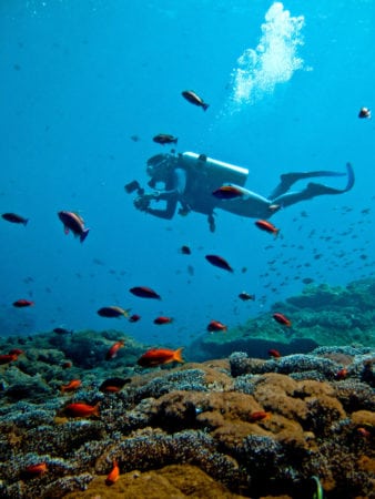 Travel Guide to Nusa Lembongan - Bali's offshore island