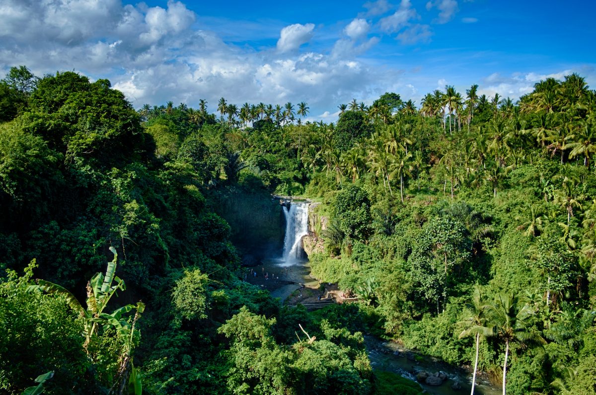 Bali Waterfalls Guide: Everything You Need to Know to Visit Bali Waterfalls