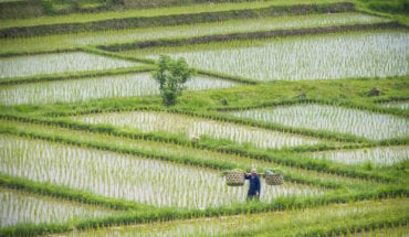 sustainable holidaying in Bali