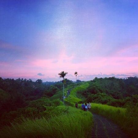 Things to see in Ubud
