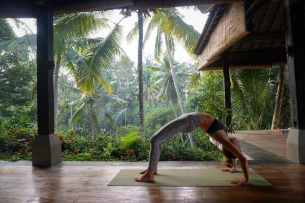 Things to do in Ubud