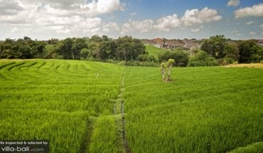 Best Canggu Villas