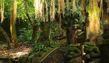 Monkey Forest Ubud - what to do in Ubud