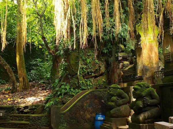 Monkey Forest Ubud - what to do in Ubud