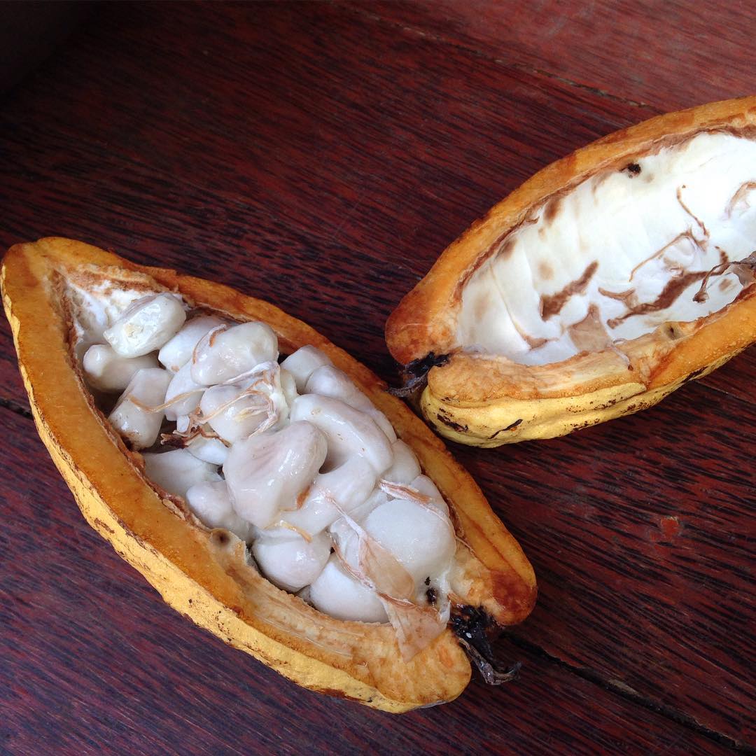 chocolate in Bali