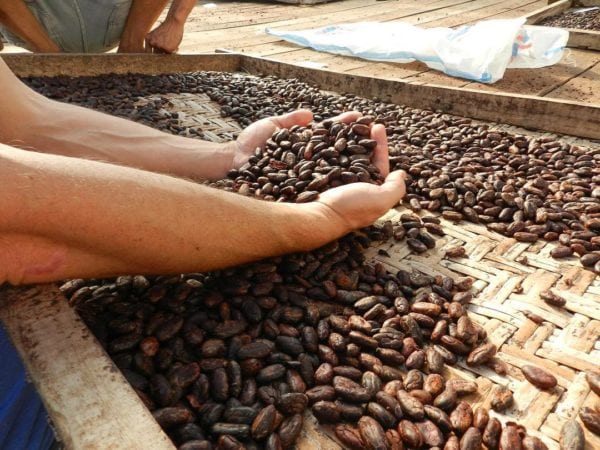 Chocolate in Bali