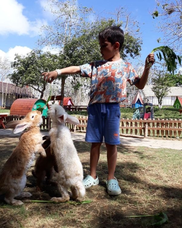 Thing to do in Jimbaran