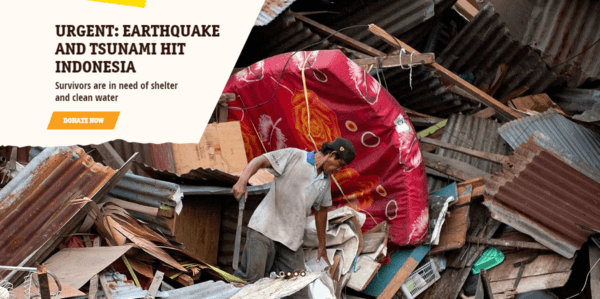 Help Sulawesi - CARE