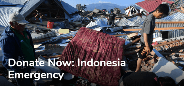Sulawesi earthquake - Humanity and Inclusion Donation