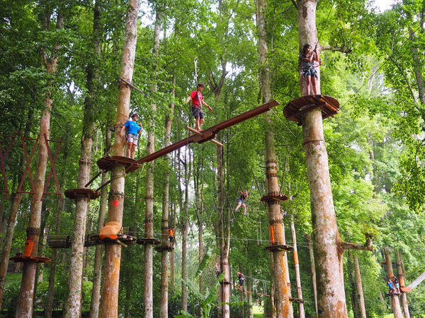 Villa Finder Treetop