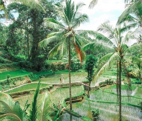 The most amazing Instagram spots in Bali