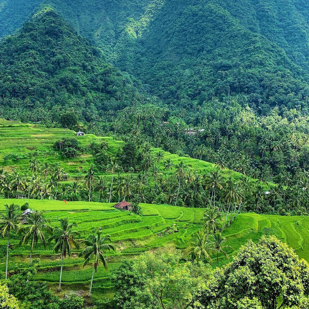 6 reasons why you should explore the North of Bali