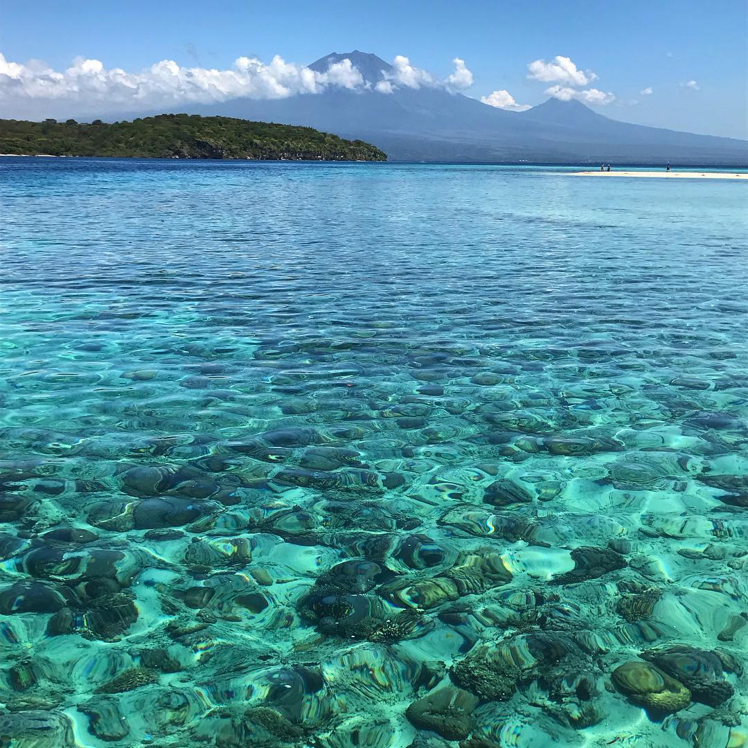 Menjangan Island