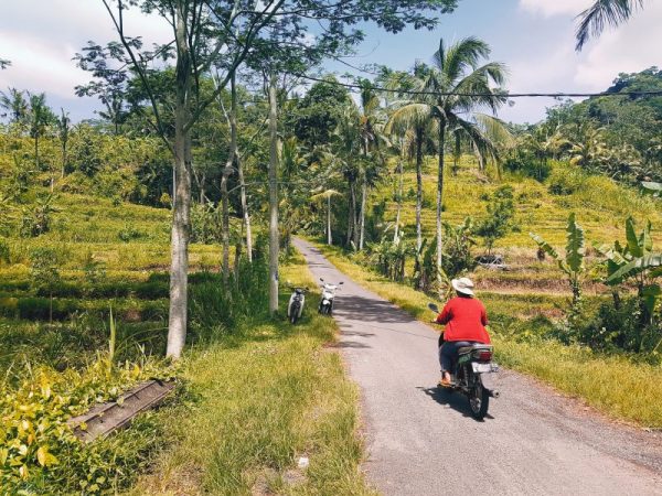 activities to do in Bali - riding a scooter