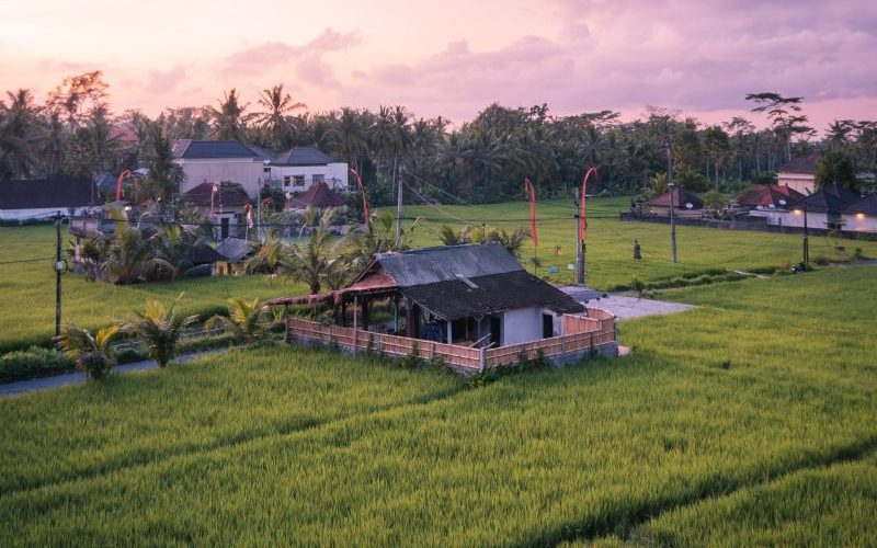 17 Restoran Terbaik di Ubud yang Wajib Kamu Coba 1 Nice warung in ubud.
