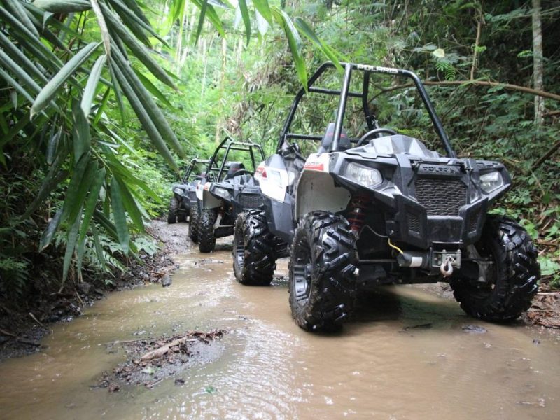 looking for tour packages in Ubud? Make sure to check out Bali Quad Discovery Tours.