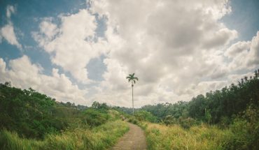 Ubud with kids