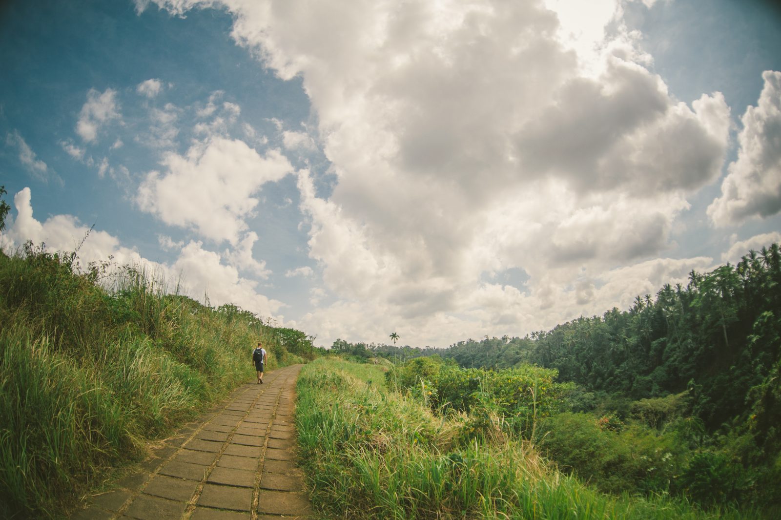 Places to visit in Bali - Campuhan Ridge Walk