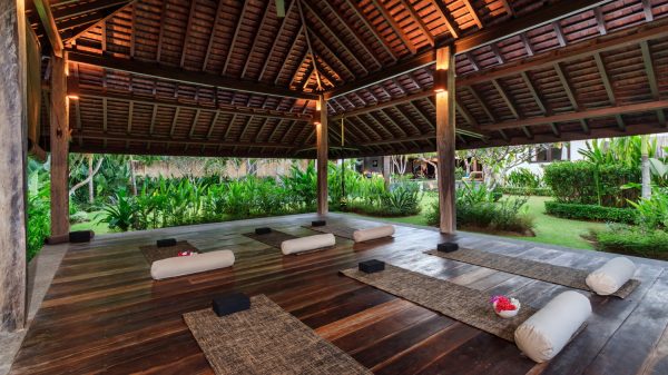 Yoga bale for yoga enthusiasts