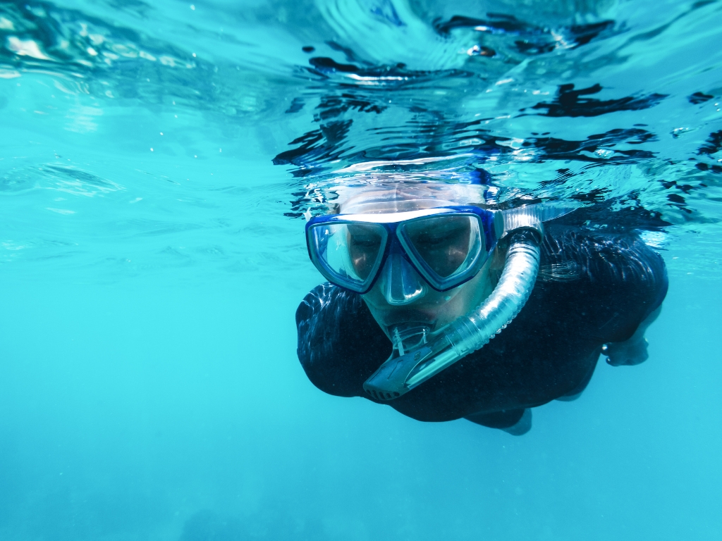 Snorkling and diving in west bali