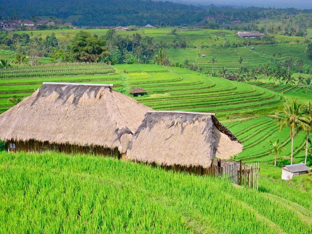 the atmosphere around ubud area